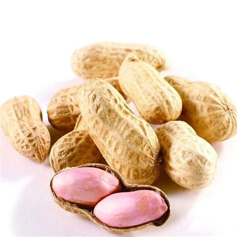 How many varieties of peanuts are there?-Everfit Food Machine