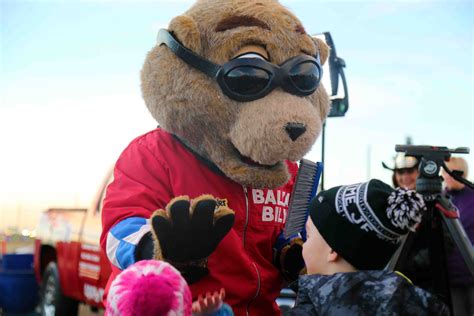 Watch: Chill or Thrill? Balzac Billy's prediction on Groundhog Day - DiscoverAirdrie.com - Local ...
