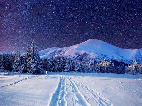 Cold winter night-Sky full with stars - Wonderful landscape. Beautiful ...