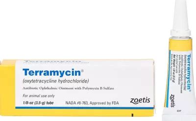 Zoetis Terramycin Antibiotic Ophthalmic Ointment, 3.5 g at Tractor Supply Co.