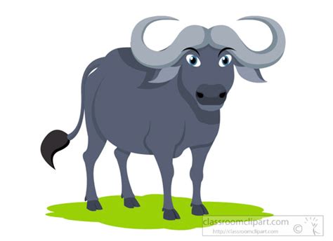 Buffalo clipart water buffalo, Buffalo water buffalo Transparent FREE ...