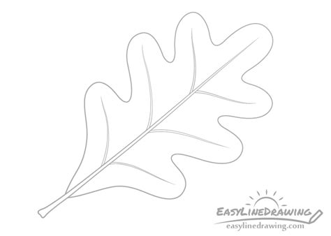 How to Draw an Oak Leaf Step by Step - EasyLineDrawing