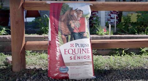 Best Horse Feed Brands for Hard Keepers: Top 5 Picks - Equineigh