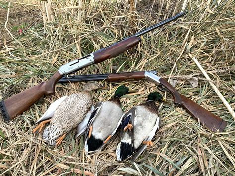 Hunting – Getting ready for waterfowl season (tips, maps and tactics) | Western Outdoor News