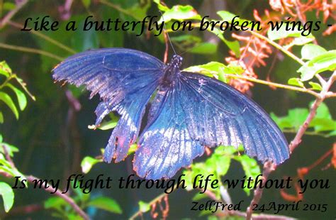 Broken Wings | The Grief Toolbox