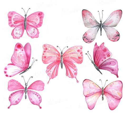 Watercolor pink butterflies By VilenaArt | TheHungryJPEG