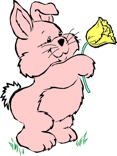 Rabbit Pictures Cartoon - ClipArt Best