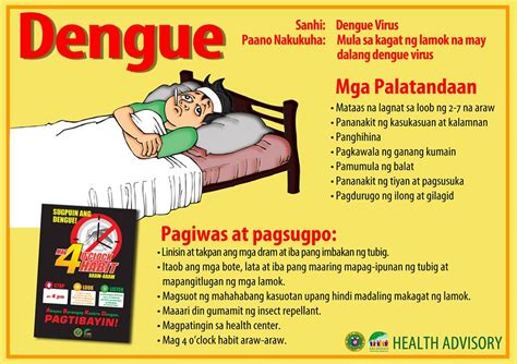 Dengue information | Mum Writes Health Stuff