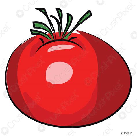 A red tomato, vector color illustration - stock vector 2952215 | Crushpixel