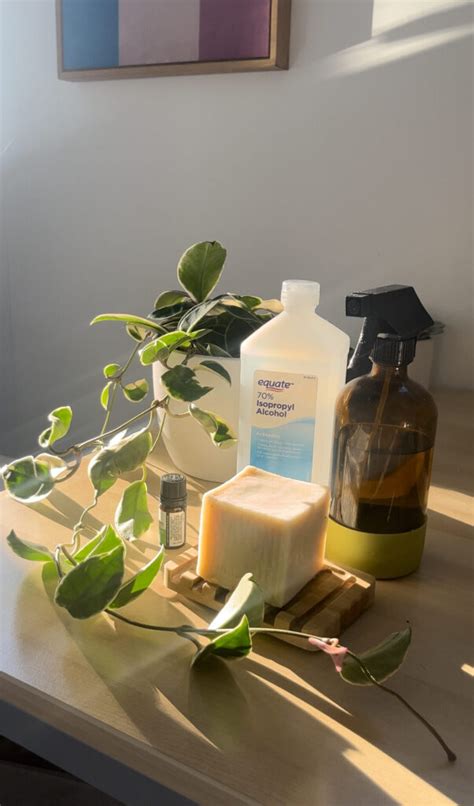 How To Make DIY Granite Cleaner That Is Non-Toxic