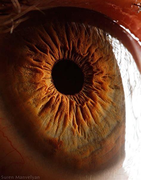 'Your Beautiful Eyes' - Amazing Close-Up Photos Of Human Eyes By Suren ...