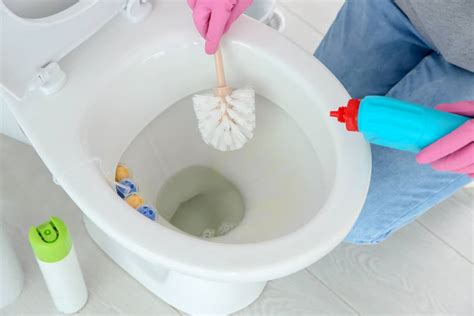 How To Get Rid Of Toilet Ring: Best Bathroom Cleaning Tips