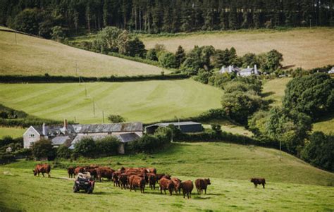 Short Supply Chains: The Pipers Farm Way