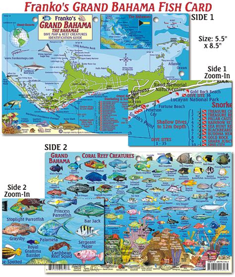 Grand Bahama Fish Card | Franko's Fabulous Maps of Favorite Places! - frankosmaps.com | Grand ...