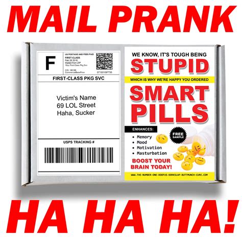 Stupid Smart Pills Prank Box Gag Gift Funny Silly Prank gets | Etsy