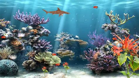 Animated Fish Aquarium Desktop Wallpapers - WallpaperSafari