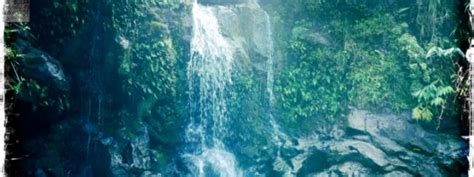 Maui Waterfall Hike - Maui Information Guide