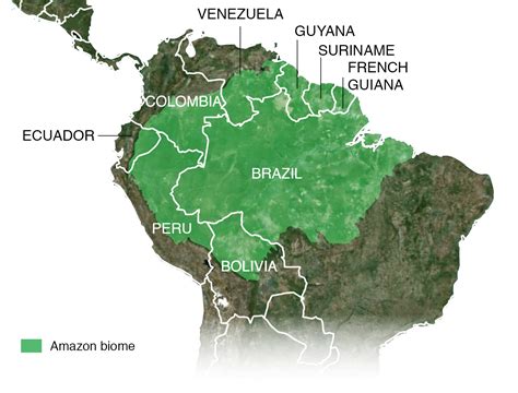 Amazon Rainforest On Map