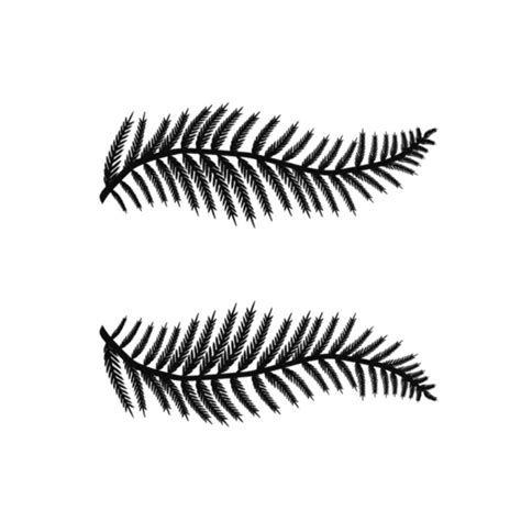 Fern Tattoo Set (2 tattoos)