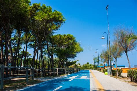 Bicycle Track on the Adriatic Sea Coast. Seashore of City Alba Adriatica in Italy, Pine Trees on ...