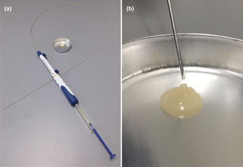 EUS‐guided hydrogel microparticle injection in a cadaveric model | CN1699 Social