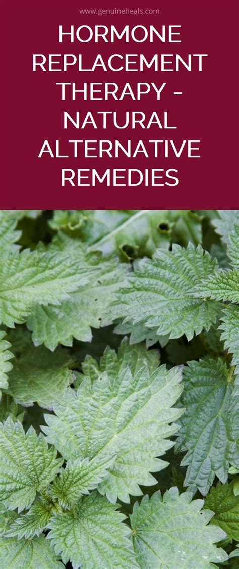 Hormone Replacement Therapy – Natural Alternative Remedies | Natural teething remedies, Herbal ...