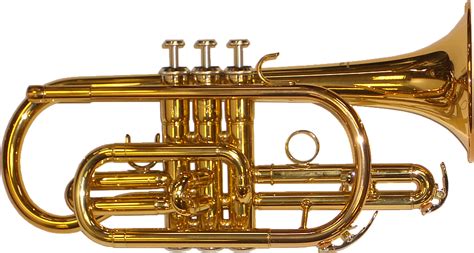 Brass Band Instrument PNG Picture | PNG All