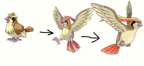 Pidgey Evolution by superfoxdeer on DeviantArt