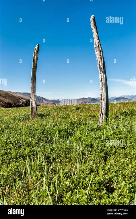 Whale Bone Alley, Ittygran Island, Chukotka, Russia Stock Photo - Alamy