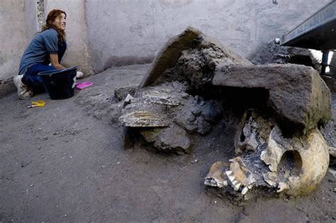 Pompeii SHOCK FIND: Incredible discovery in volcano site leaves experts ...