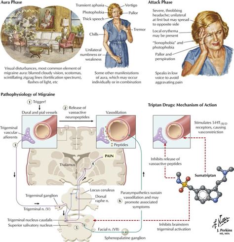 Drugs Used in Disorders of the Central Nervous System and Treatment of Pain | Basicmedical Key