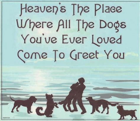 Dogs In Heaven Quotes. QuotesGram