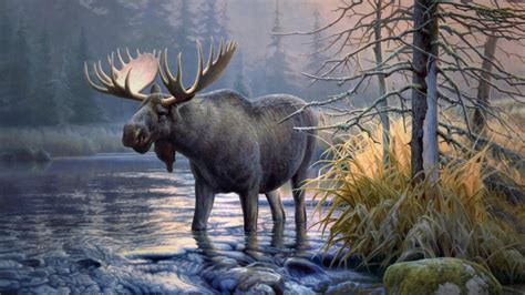 24 Elk Wallpapers - Wallpaperboat