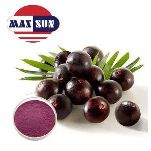 Acai Berry Extract Manufacturer & Suppliers & Distributor - Wholesale Bulk Acai Berry Extract ...