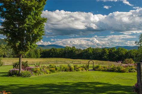 In the company of Meadow | Windekind Farm & Country Cottages