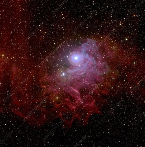 Flaming Star nebula - Stock Image - R560/0314 - Science Photo Library