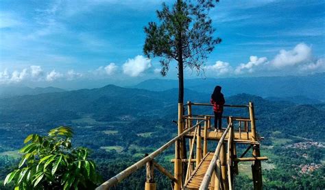 Ular Tanah Jawa Barat Lori Patah Pinang Pulau Sia Gelang Kilang Pekerja ...