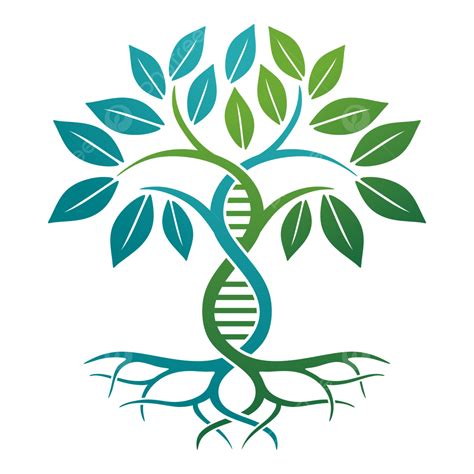 Healthy Tree Logo Design, Health Tree Logo, Tree Logo, Roots Logo PNG and Vector with ...