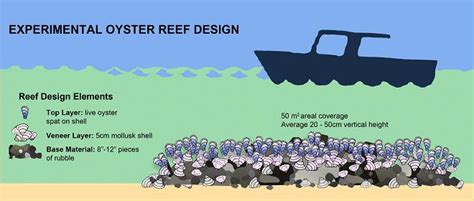 Research, Reports & Approaches « Oyster Restoration Workgroup