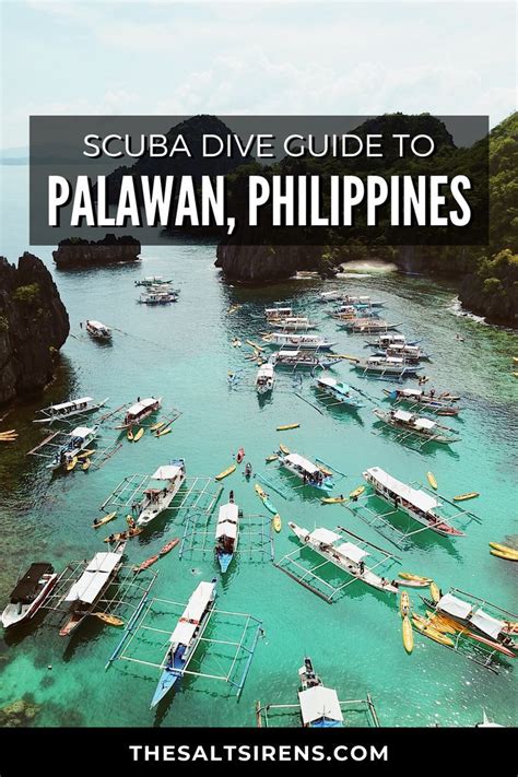 The Ultimate Scuba Dive Guide to Palawan, Philippines | Travel Asia ...