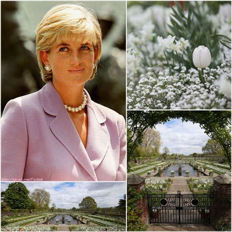 Rosario Castellanos de Parker (TM) : Memorial for HRH Princess Diana of Wales, opened to the ...