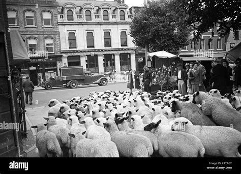 Salisbury Market, Wiltshire. An ancient city market which dates back to Roman times. July 1946 ...