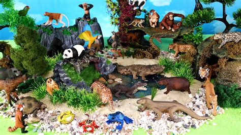 Jungle Diorama and Wild Animal Figurines - Learn Animal Names - YouTube