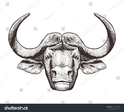 Pencil Art Buffalo: Over 437 Royalty-Free Licensable Stock ...