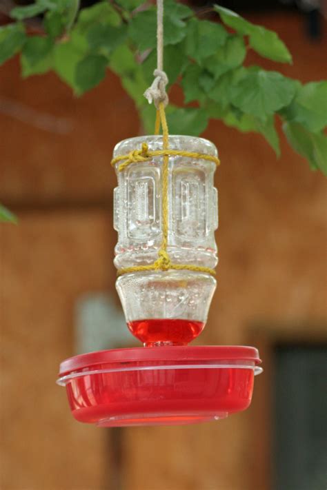 16 DIY Homemade Hummingbird Feeder Ideas to Attract Them to Your Home