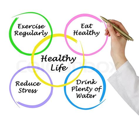 Diagram of healthy life | Stock image | Colourbox