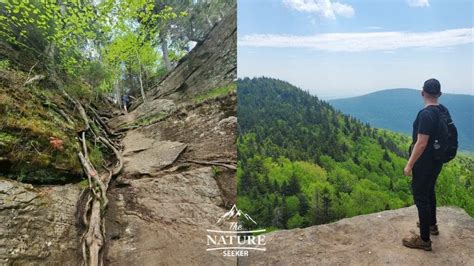 13 Best Hikes in The Catskills For Beginner And Above Levels