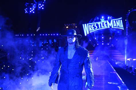 WrestleMania 33: Undertaker retirement match video and pictures from battle against Roman Reigns