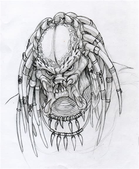 Predator Sketch by LaTopazora on DeviantArt