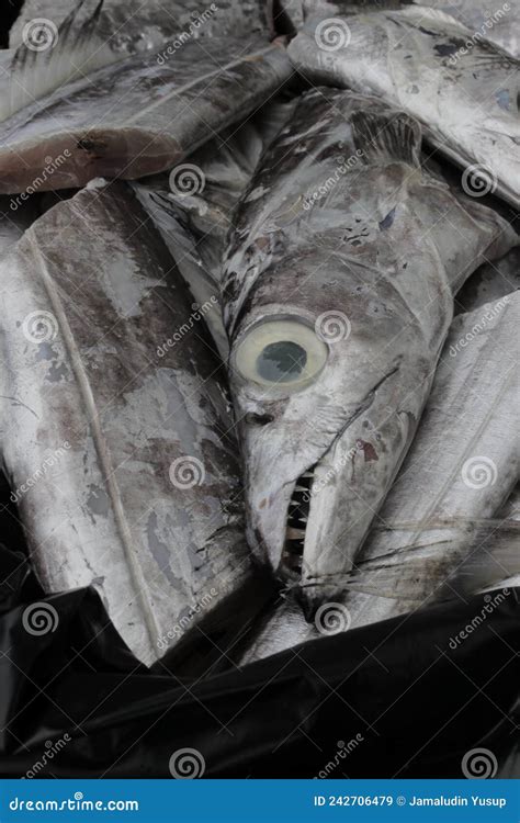 Fresh Marinated Belt Fish (ikan Layur) Ready To Be Grilled Stock Image - Image of meal ...